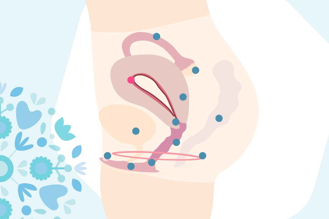 Grafika děložní sliznice
